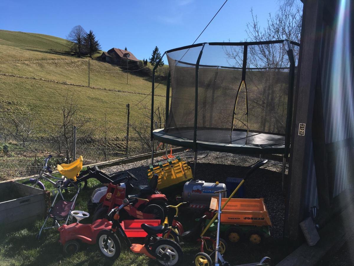 3,5 Zimmerferienwohnung Schwalbenaescht Rueeggisberg Exterior foto